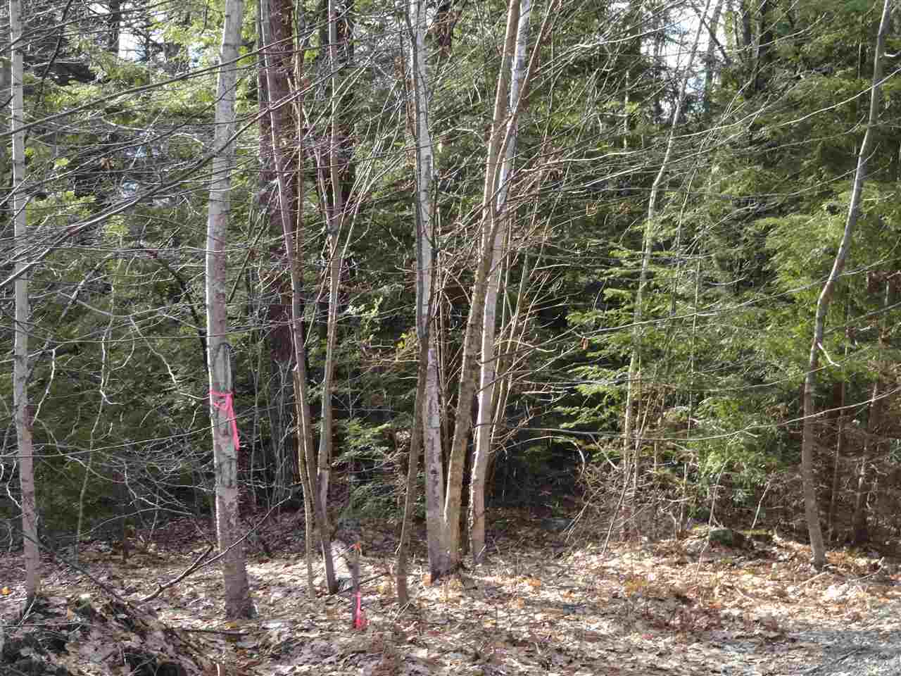 Lot 2 Mathews Road Alexandria, NH 03222 - Photo 5 of 11