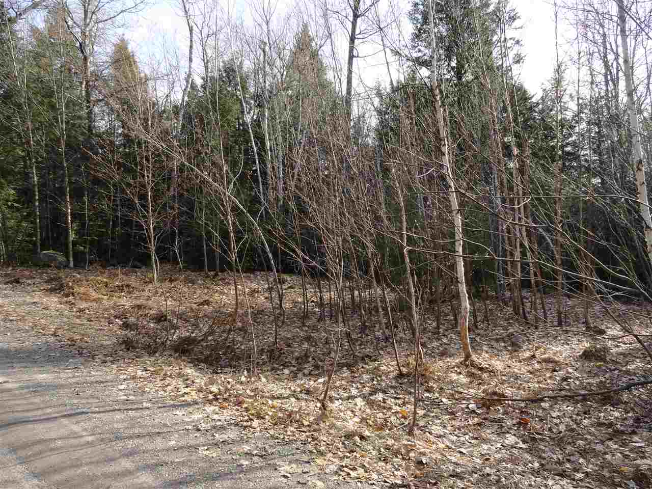 Lot 2 Mathews Road Alexandria, NH 03222 - Photo 6 of 11