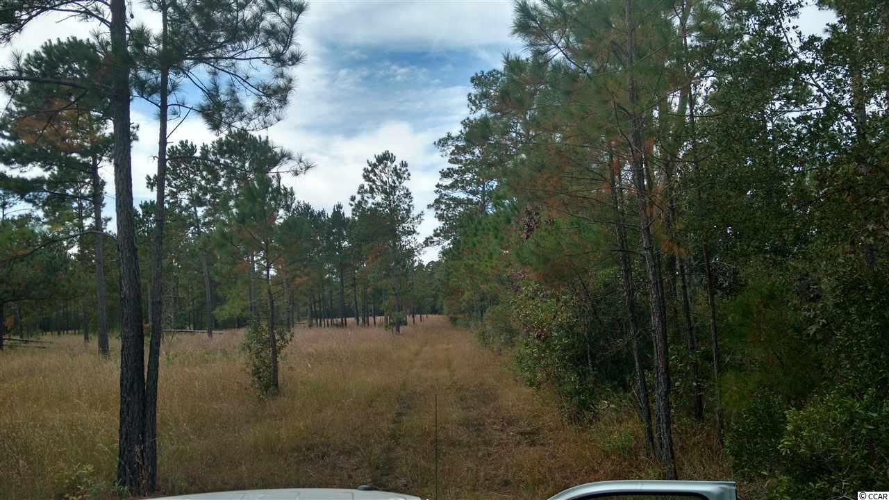 Lot 12 Samworth Loop Georgetown, SC 29440 - Photo 4 of 9 Gallery Image 4