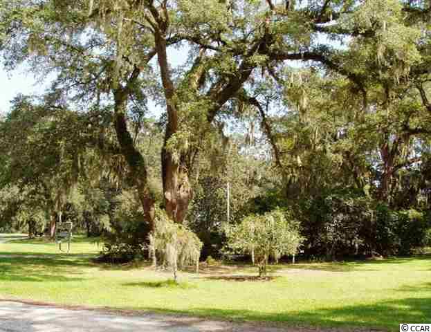 Lot 12 Samworth Loop Georgetown, SC 29440 - Photo 7 of 9 Gallery Image 7