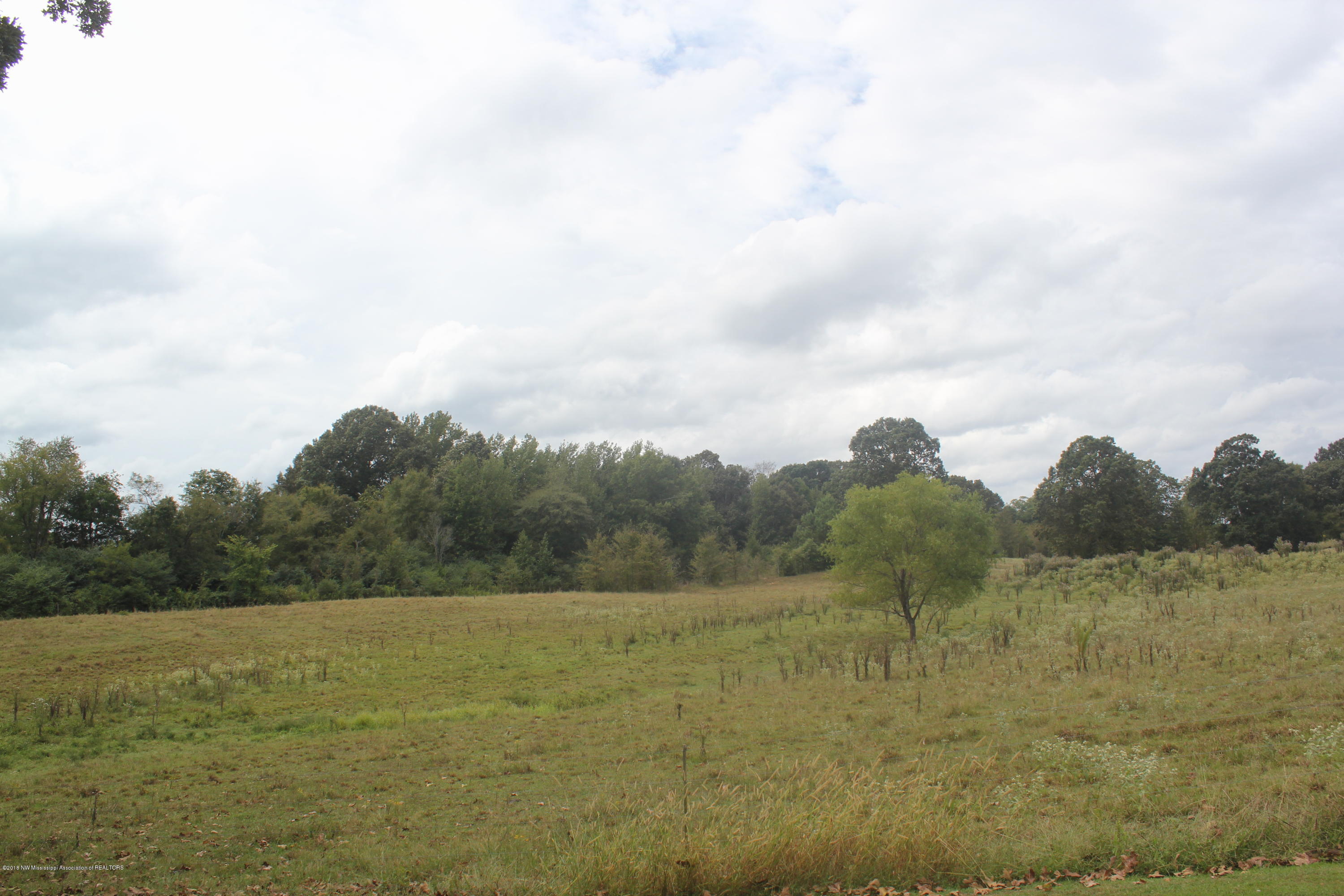 3200 North Red Banks Road Byhalia, MS 38611 - Photo 1 of 30 015
