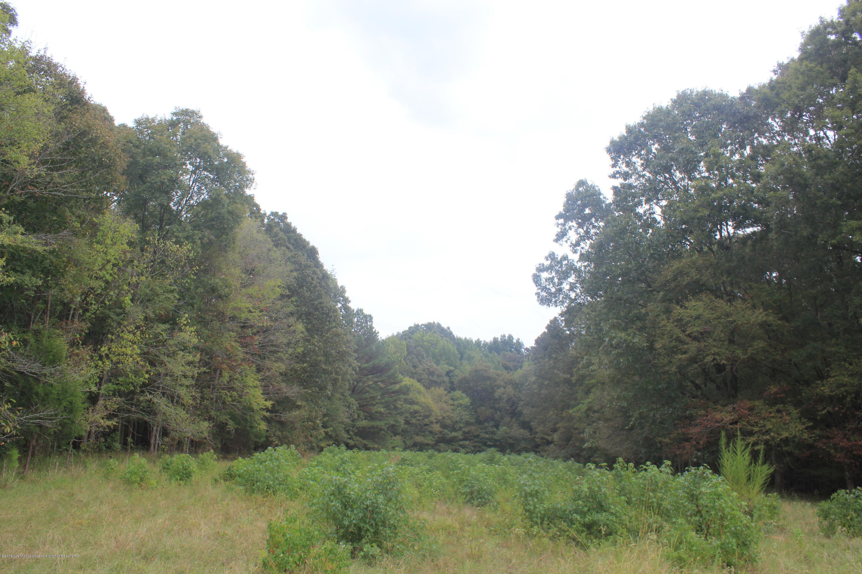3200 North Red Banks Road Byhalia, MS 38611 - Photo 14 of 30 048