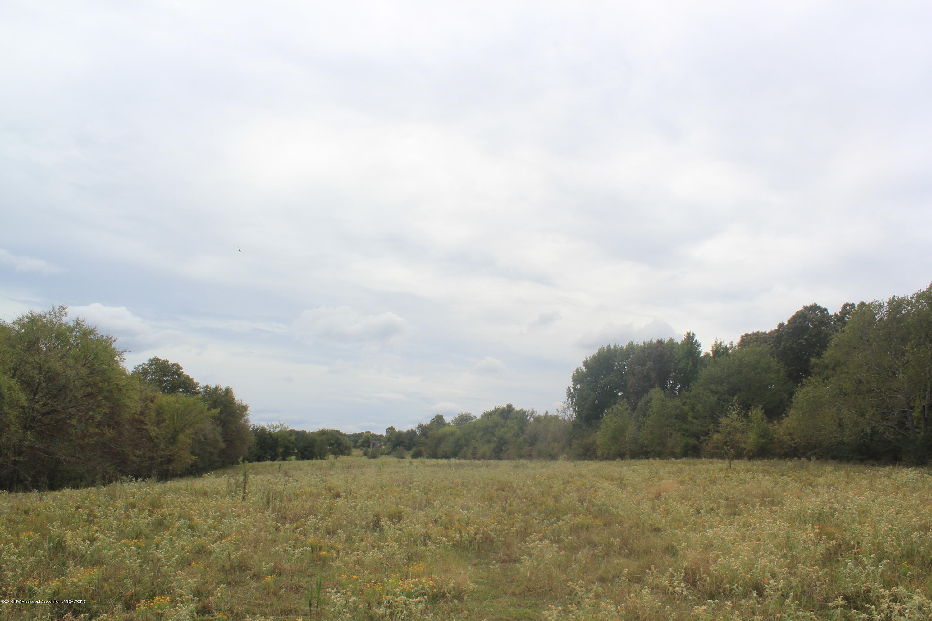 3200 North Red Banks Road Byhalia, MS 38611 - Photo 29 of 30 095