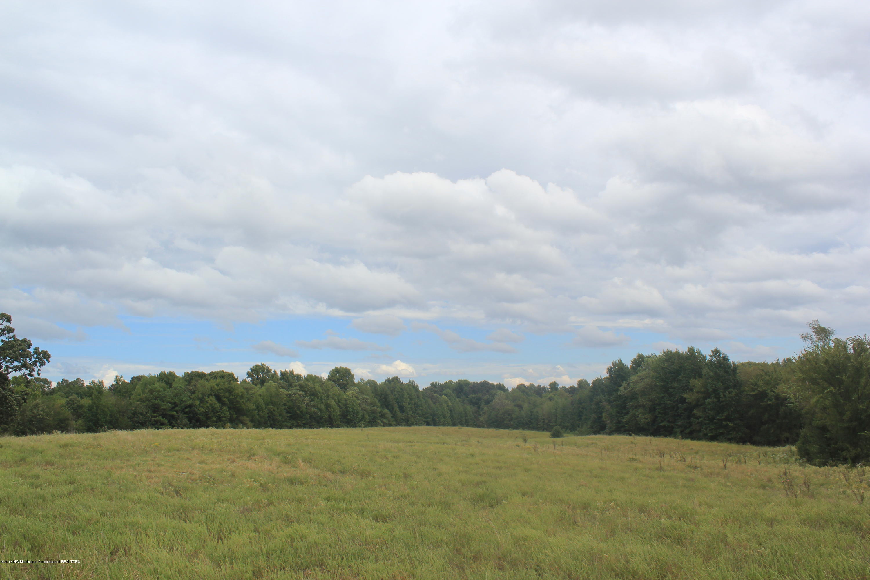3200 North Red Banks Road Byhalia, MS 38611 - Photo 8 of 30 034