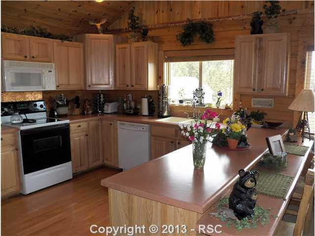 1443 Twin Rocks Road Florissant, CO 80816 - Photo 15 of 25