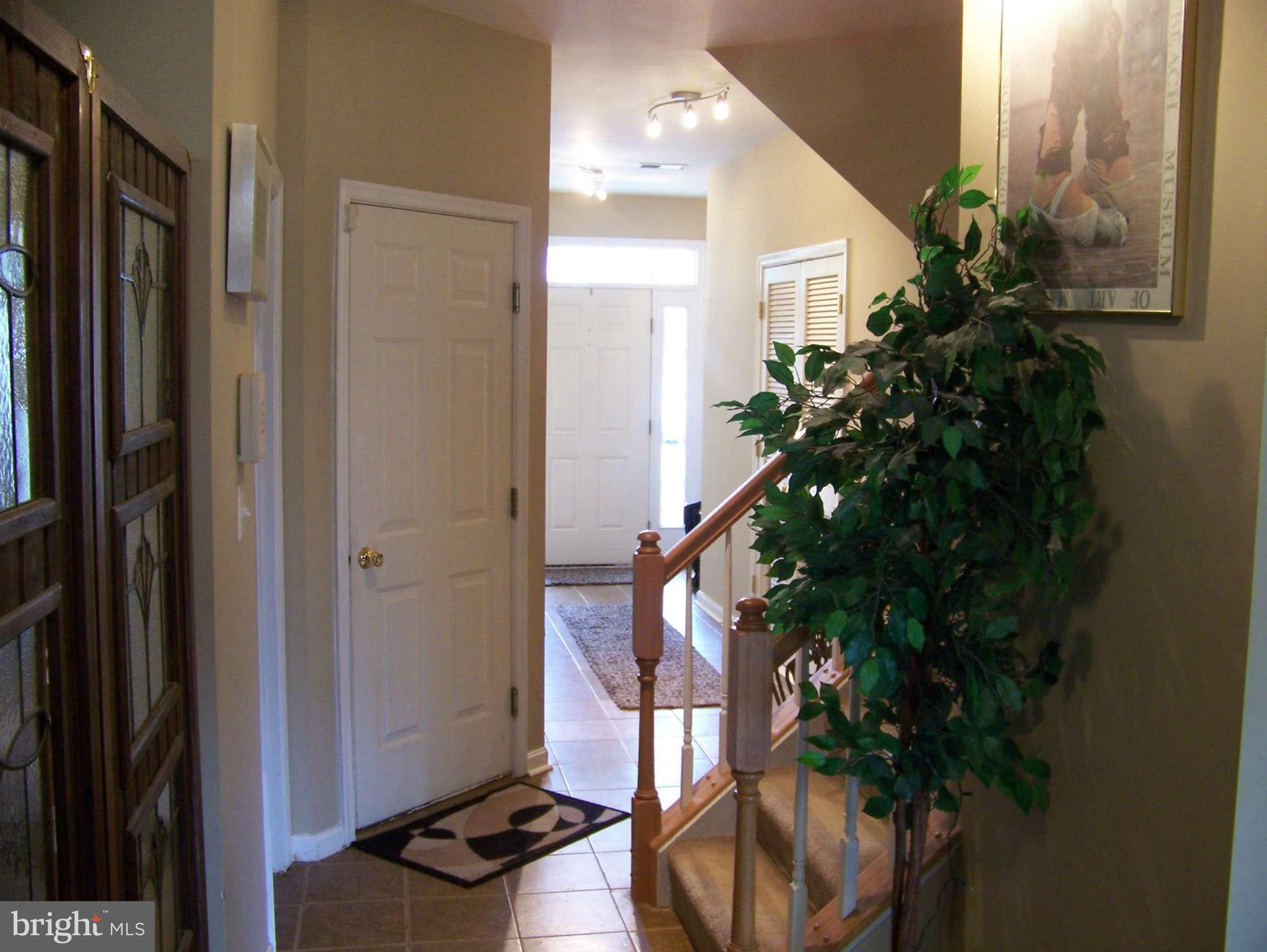 10155 Pale Rose Loop Bristow, VA 20136 - Photo 11 of 25 a vase of flowers sitting on a floor in front of a door