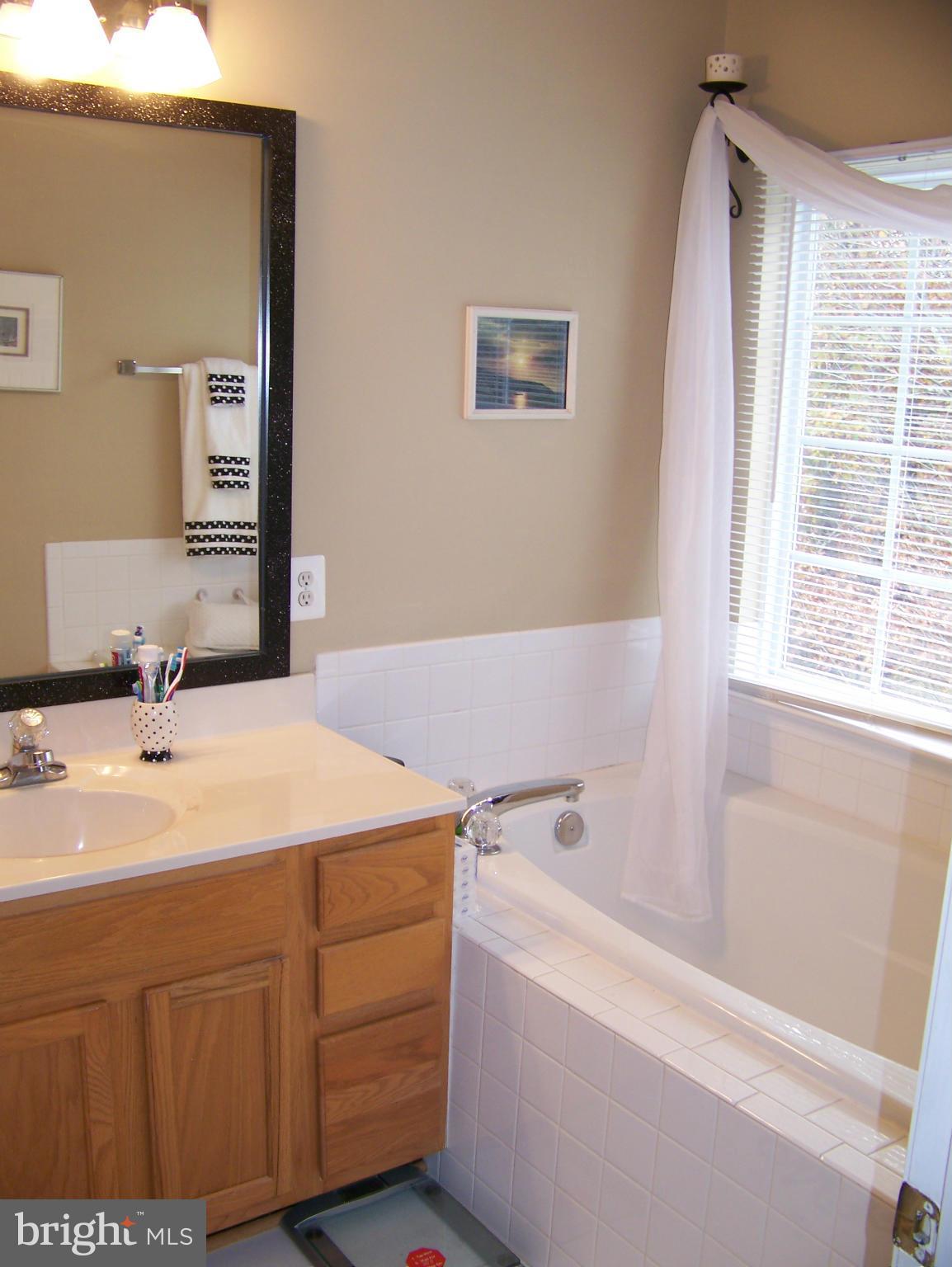 10155 Pale Rose Loop Bristow, VA 20136 - Photo 18 of 25 a bathroom with a tub sink and mirror