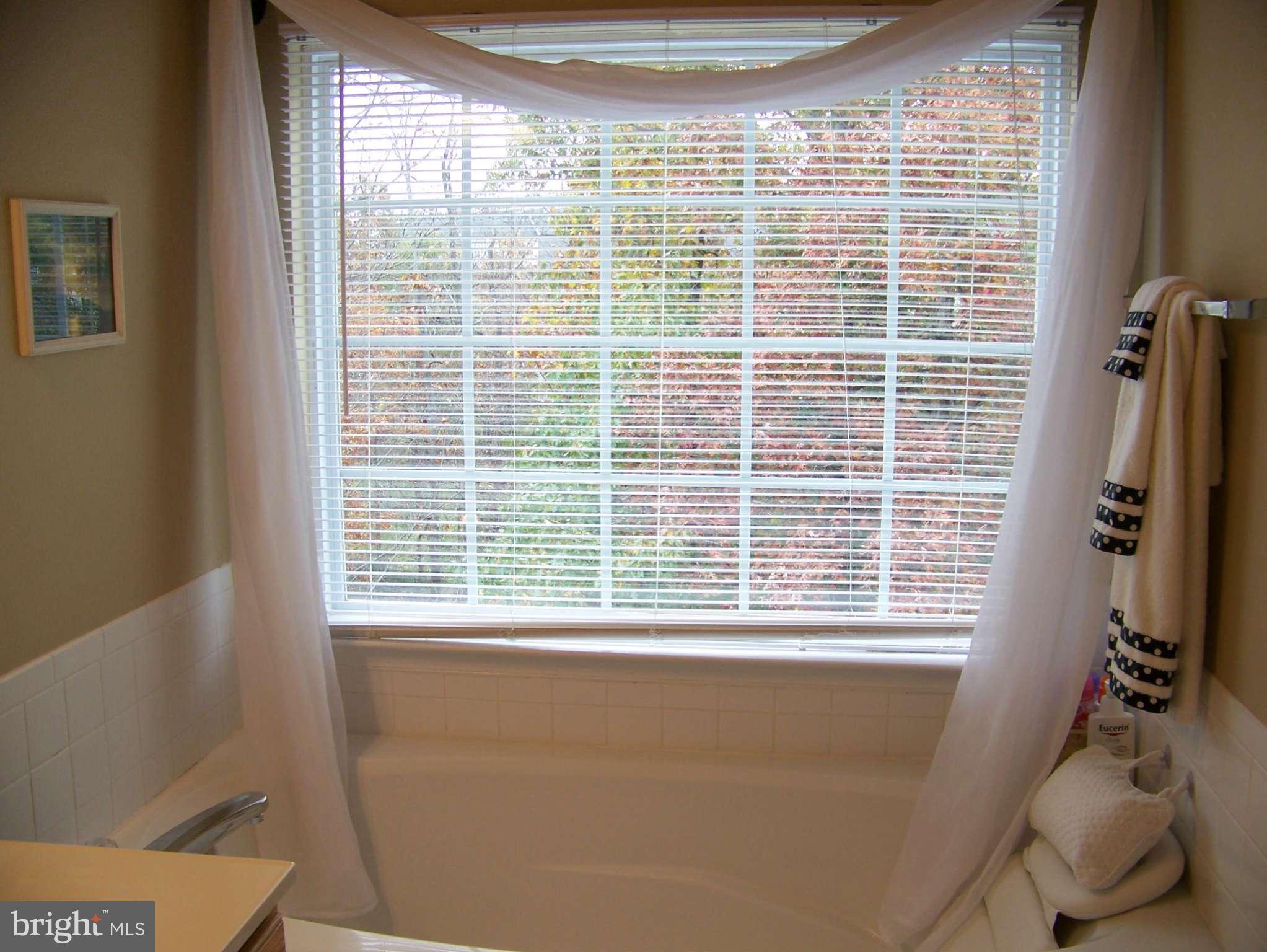 10155 Pale Rose Loop Bristow, VA 20136 - Photo 19 of 25 a view of kitchen and window