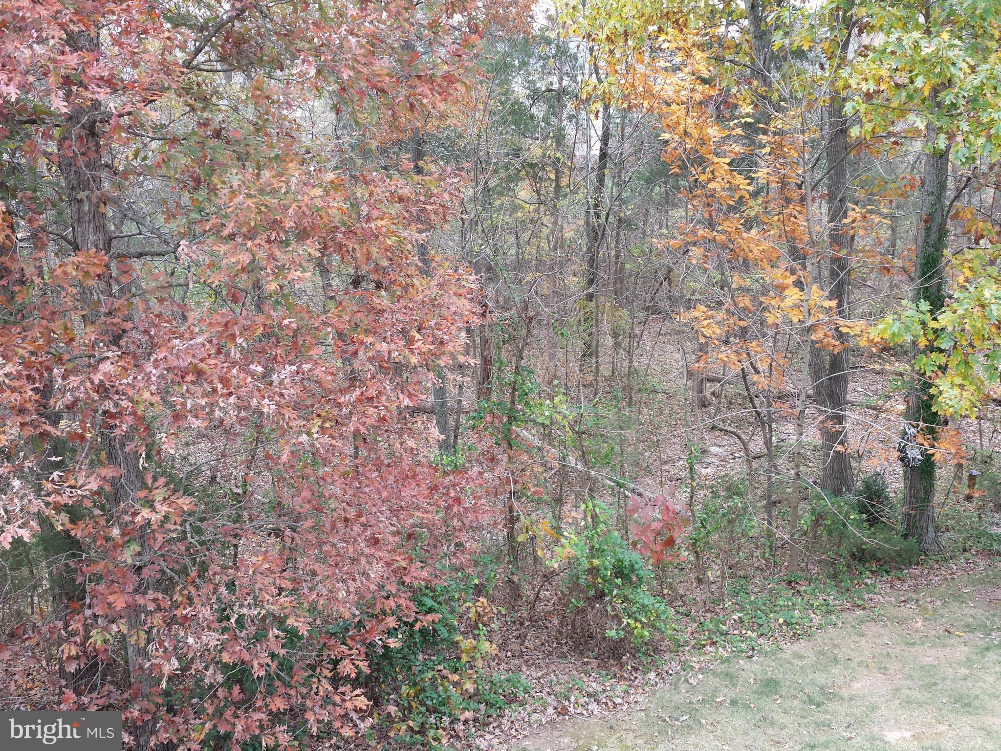 10155 Pale Rose Loop Bristow, VA 20136 - Photo 24 of 25 a backyard of a house