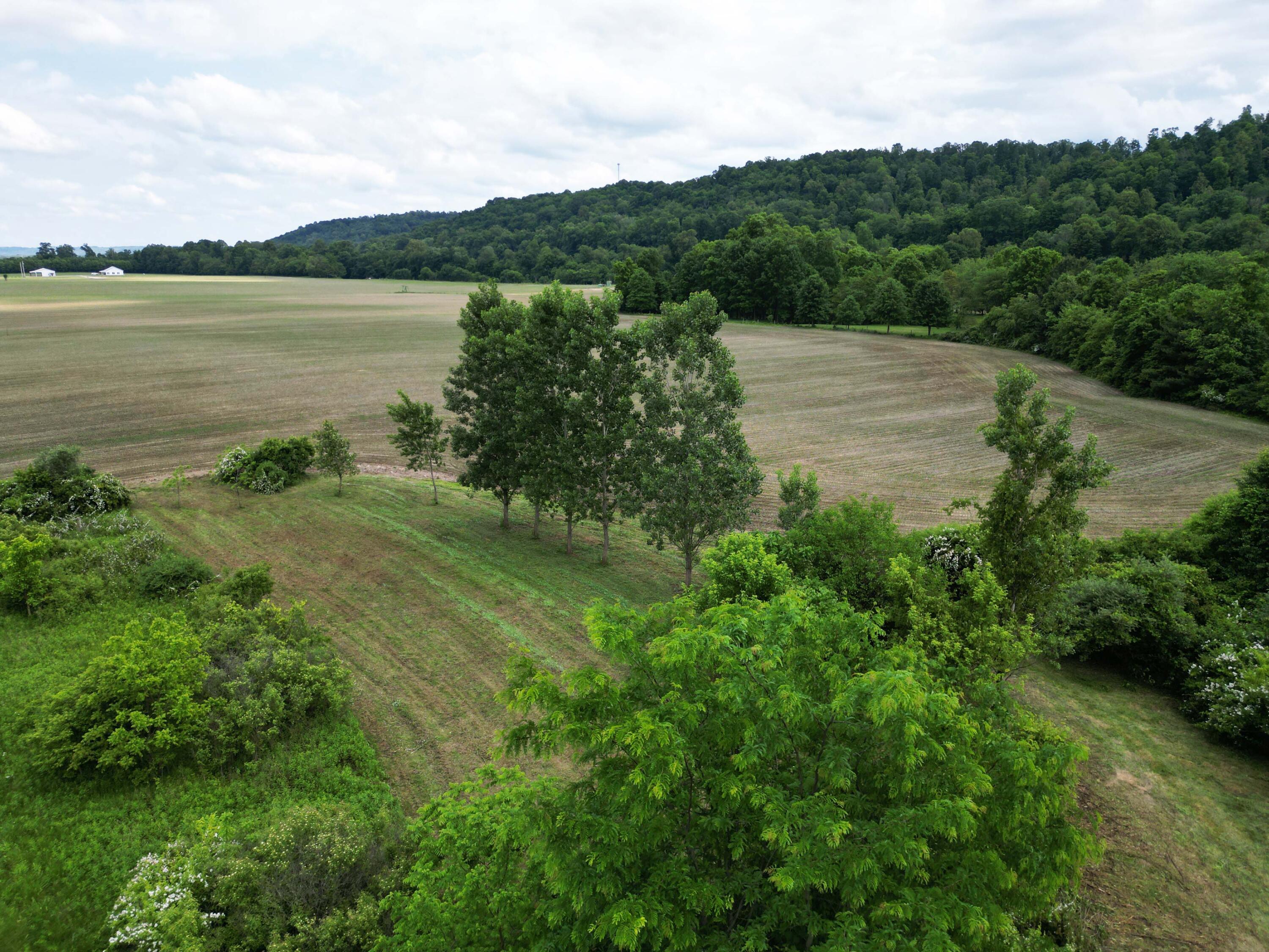 0 Schoolhouse Road Frazeysburg, OH 43822 - Photo 27 of 31 DJI_0591