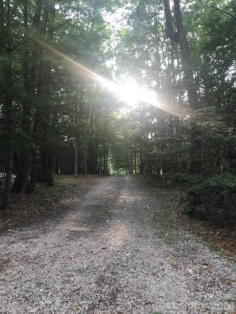 57 Sleepy Gap Road Arden, NC 28704 - Photo 13 of 15 Gallery Image 13