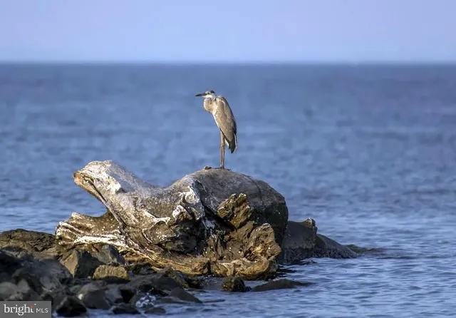 $1,300 | 520 Young Street, Havre de Grace, MD 21078