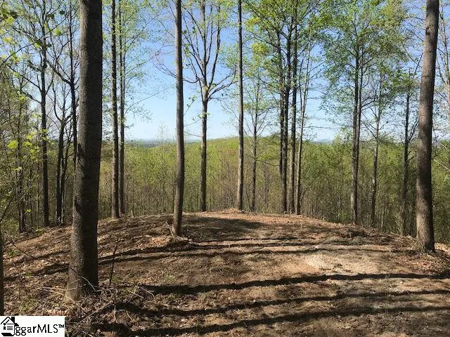 $795,000 | 181 Crowne Hill Way, Marietta, SC 29661