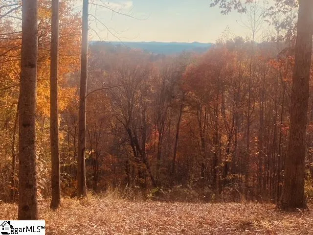 $795,000 | 181 Crowne Hill Way, Marietta, SC 29661