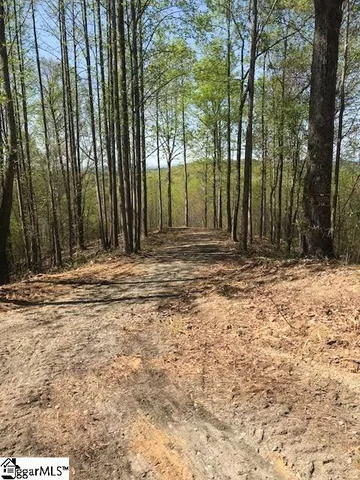 $795,000 | 181 Crowne Hill Way, Marietta, SC 29661