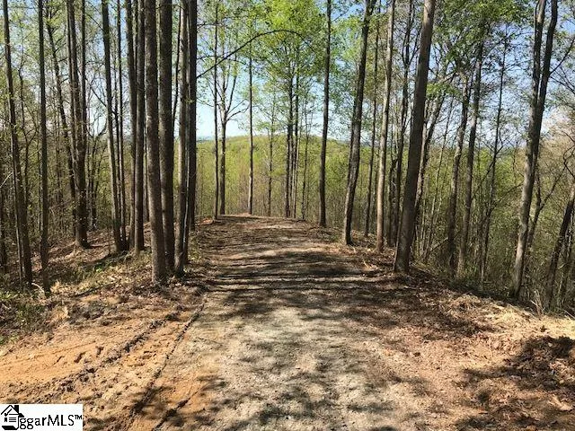 $795,000 | 181 Crowne Hill Way, Marietta, SC 29661