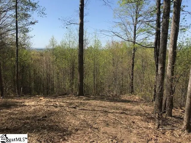 $795,000 | 181 Crowne Hill Way, Marietta, SC 29661