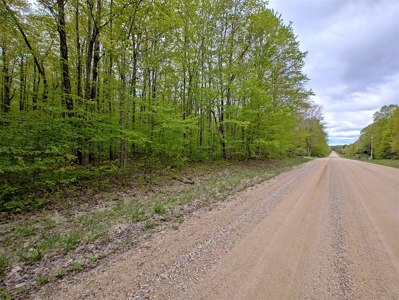 Vl Covert Road Northeast Mancelona, MI 49659 - Photo 2 of 22