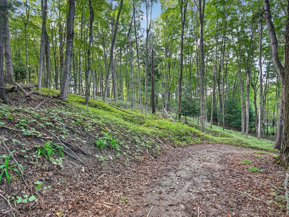 8530 Toad Lake Road Ellsworth, MI 49729 - Photo 38 of 93 066_DSC00094