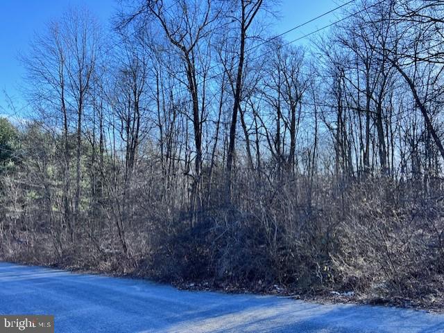 0 Pisgah Rest Shermans Dale, PA 17090 - Photo 2 of 5 Gallery Image 2