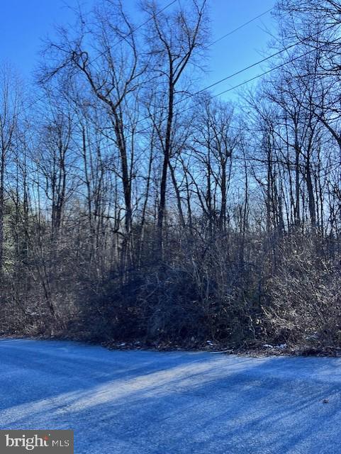 0 Pisgah Rest Shermans Dale, PA 17090 - Photo 4 of 5 Gallery Image 4