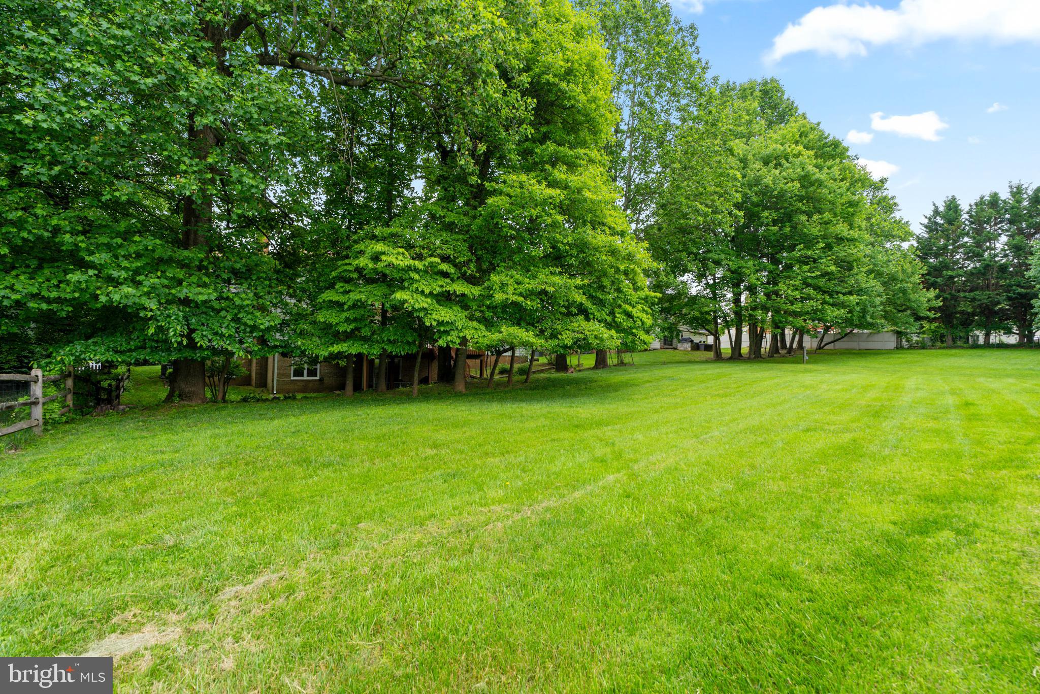 15008 Notley Road Silver Spring, MD 20905 - Photo 44 of 48 a view of a green yard