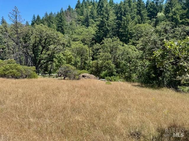 $150,000 | 6355 First Gate Road, Willits, CA 95490