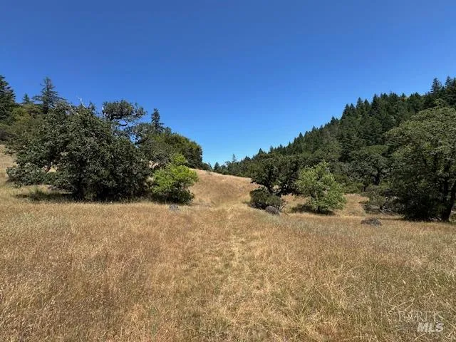 $150,000 | 6355 First Gate Road, Willits, CA 95490