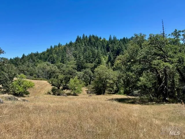 $150,000 | 6355 First Gate Road, Willits, CA 95490