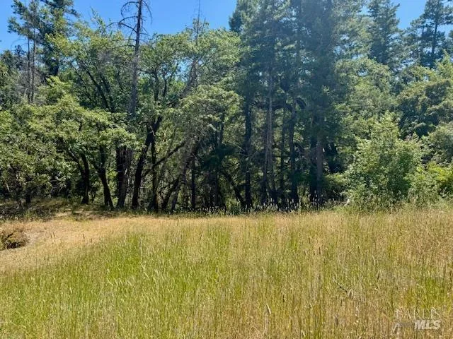 $150,000 | 6355 First Gate Road, Willits, CA 95490