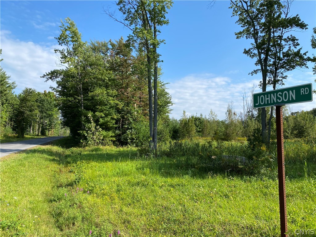 64 Johnson Road Bernhards Bay, NY 13028 - Photo 1 of 1 Gallery Image 1