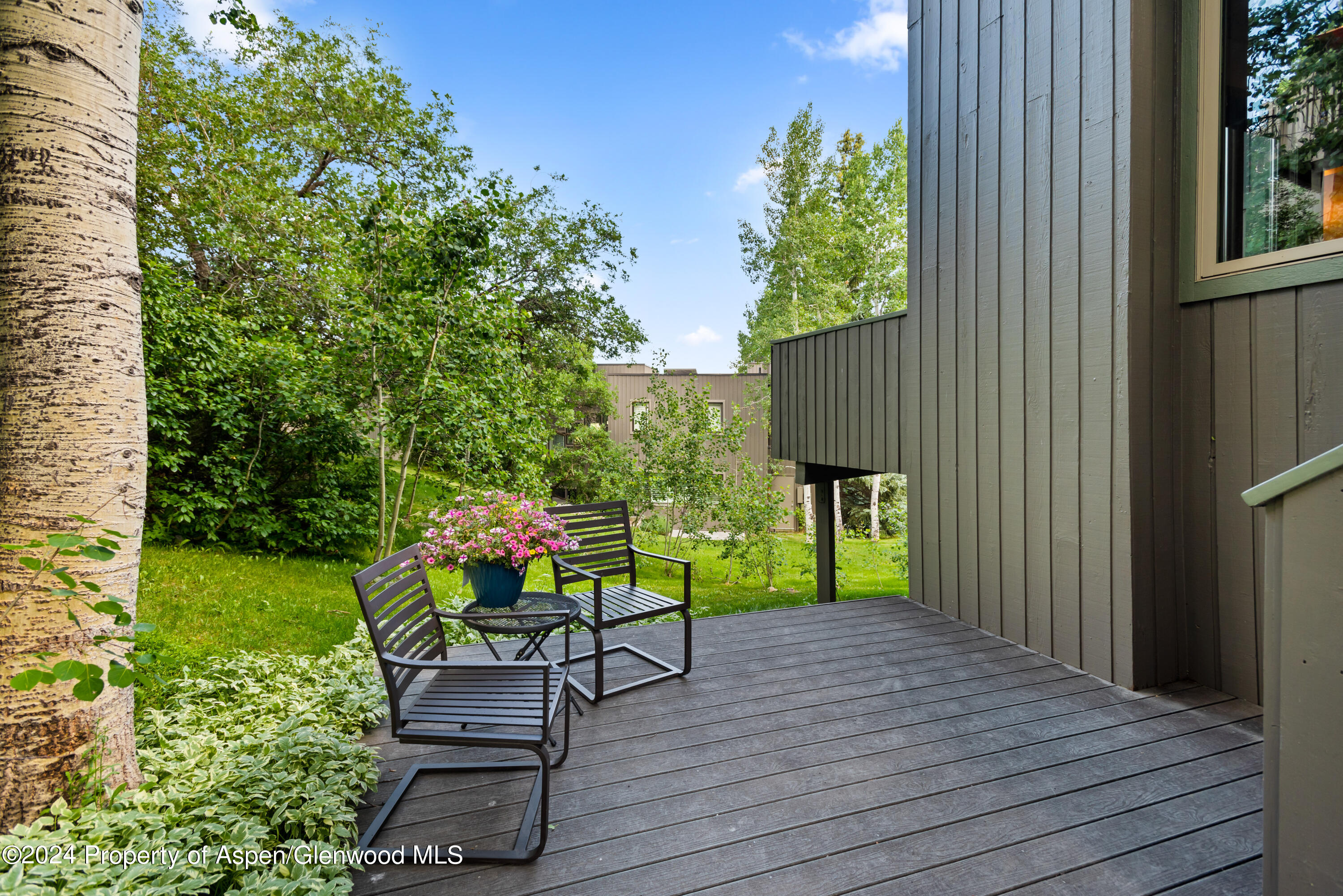 151 Meadow Ranch Road, Unit F1A Snowmass Village, CO 81615 - Photo 18 of 21 151MeadowRanch_HiRes_23071218