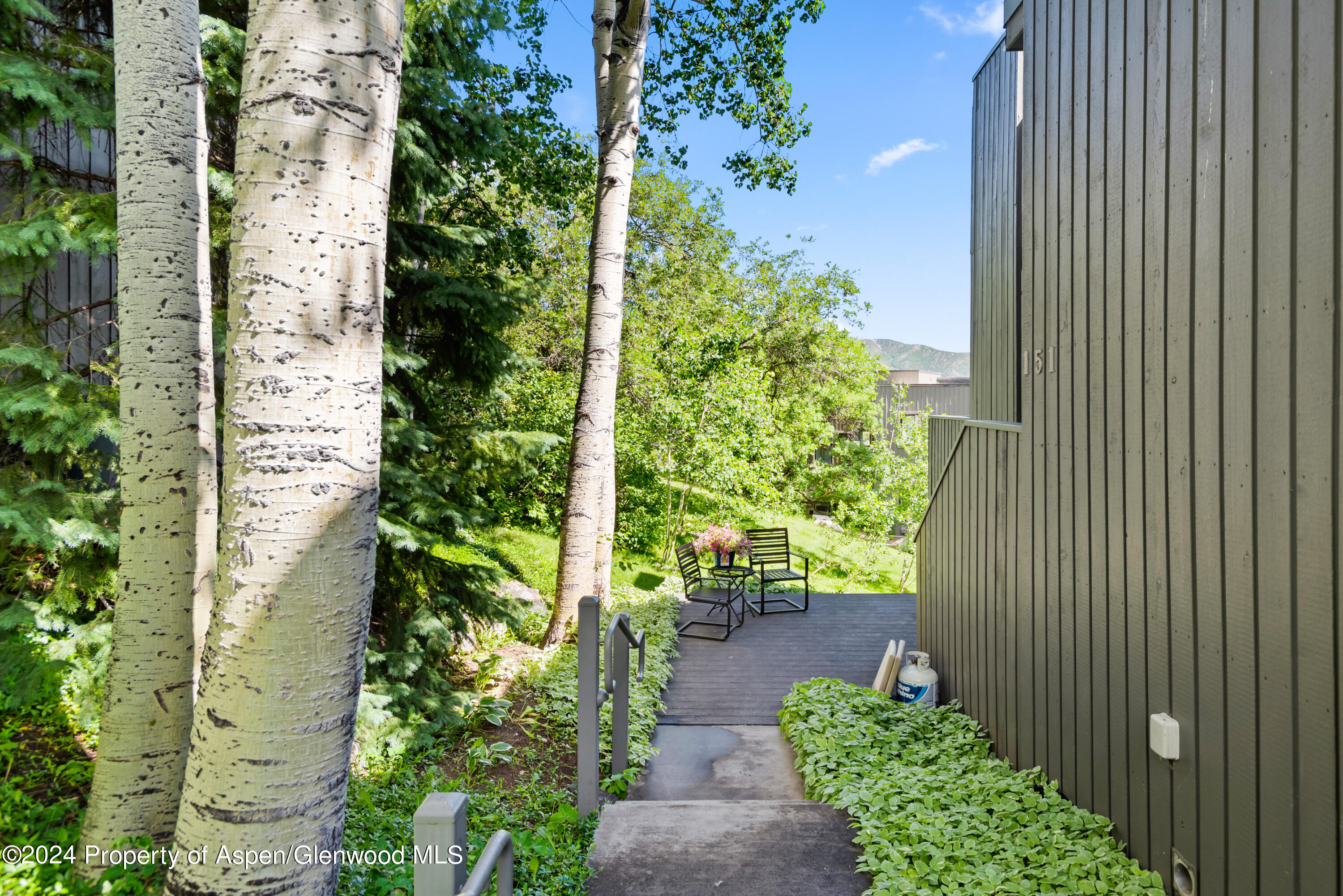 151 Meadow Ranch Road, Unit F1A Snowmass Village, CO 81615 - Photo 19 of 21 151MeadowRanch_HiRes_23071219