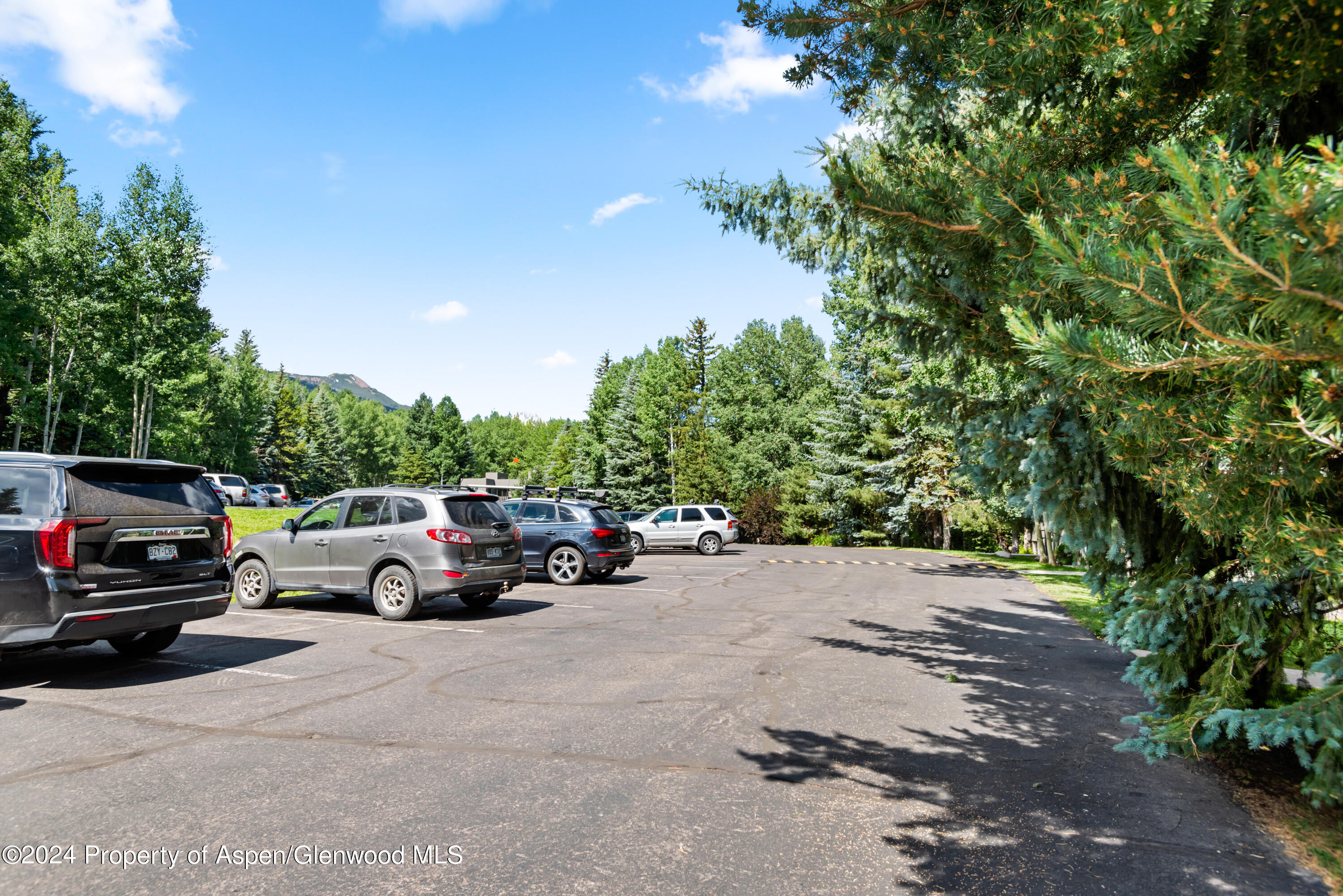 151 Meadow Ranch Road, Unit F1A Snowmass Village, CO 81615 - Photo 21 of 21 151MeadowRanch_HiRes_23071221