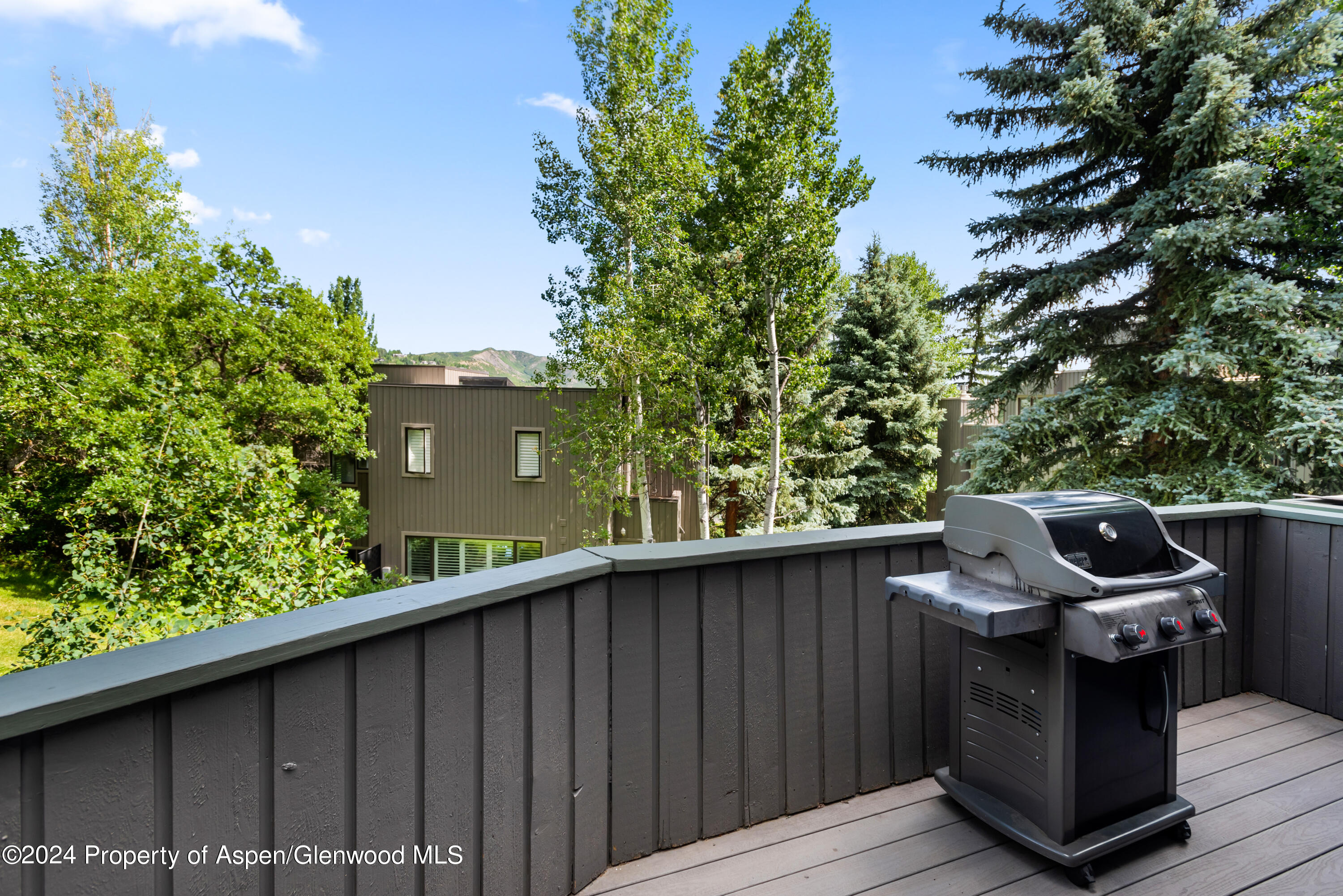 151 Meadow Ranch Road, Unit F1A Snowmass Village, CO 81615 - Photo 10 of 21 151MeadowRanch_HiRes_23071216
