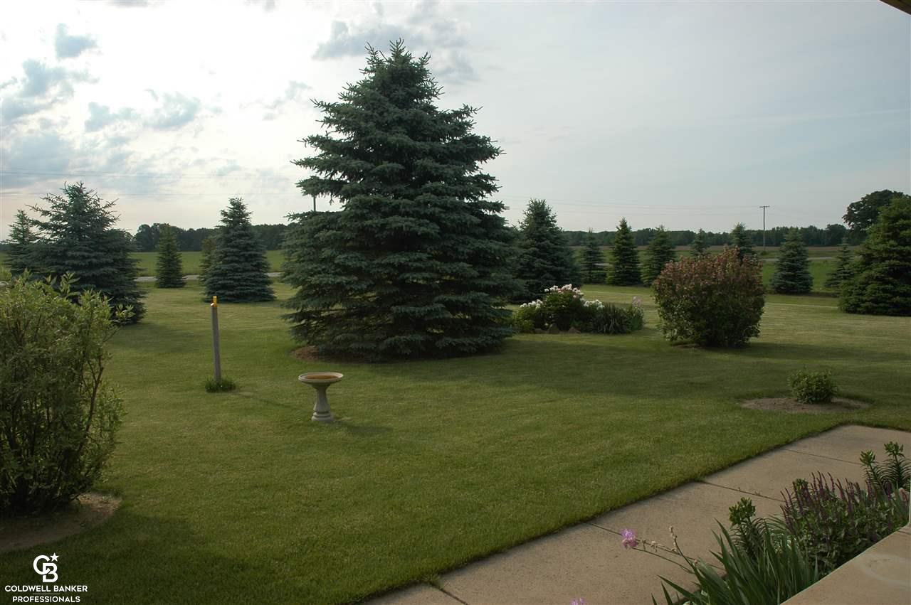 2077 Riley Center Road Memphis, MI 48041 - Photo 19 of 60 31352582-18.JPG