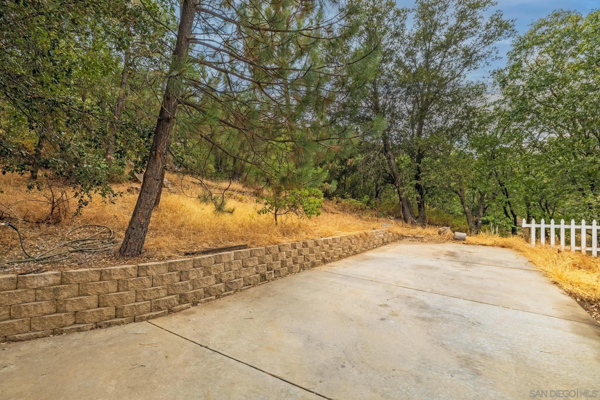 859 Pine Cone Drive Julian, CA 92036 - Photo 34 of 43 a view of backyard space and trees