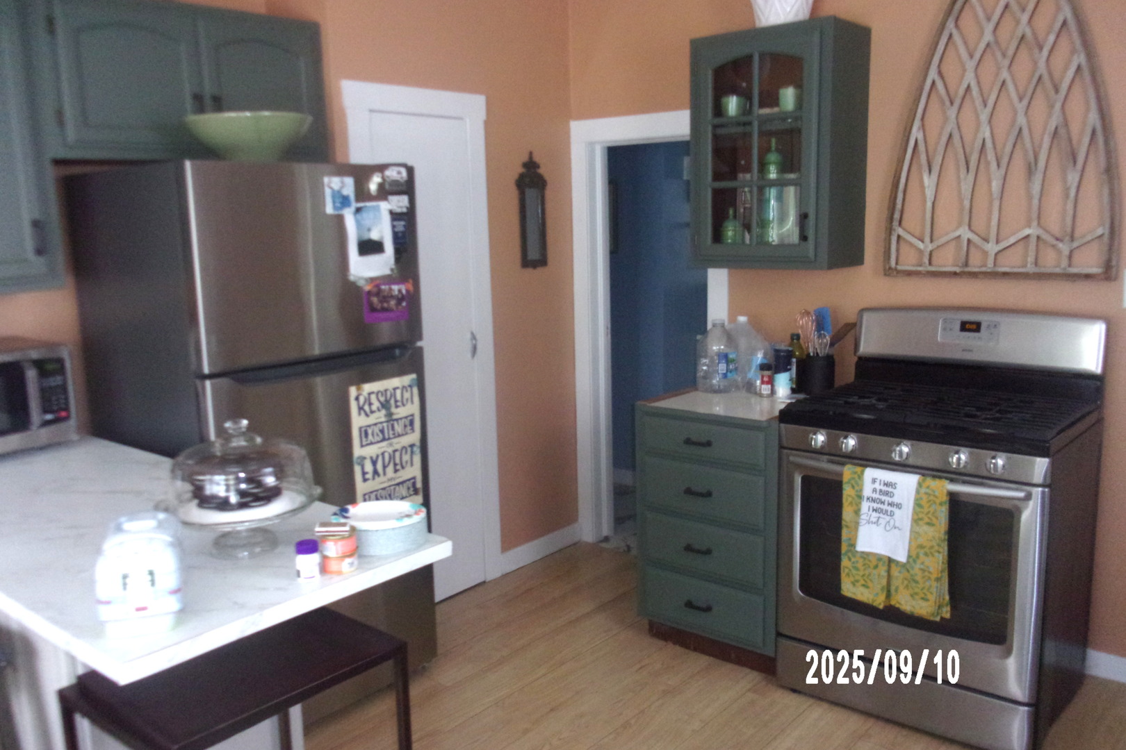 325 South Race Street Piper City, IL 60959 - Photo 11 of 25 a kitchen with stainless steel appliances granite countertop a refrigerator and a stove top oven