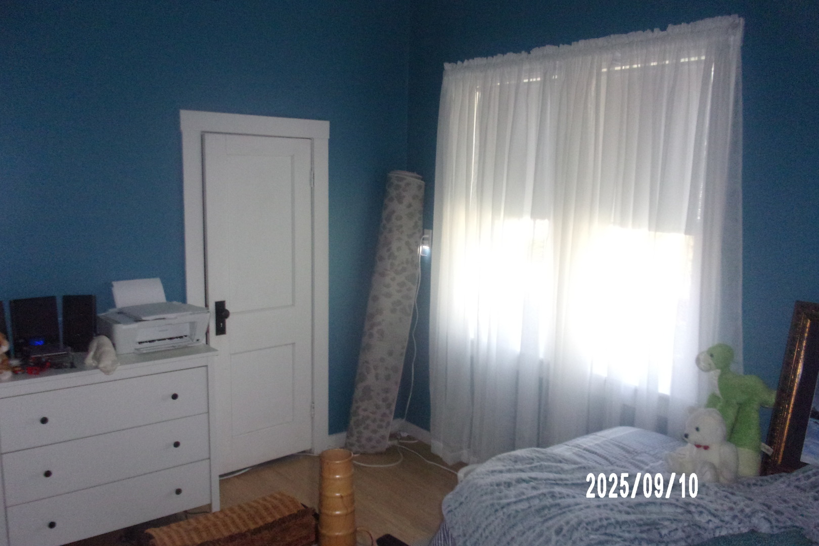 325 South Race Street Piper City, IL 60959 - Photo 14 of 25 a view of hallway with closet and wooden floor