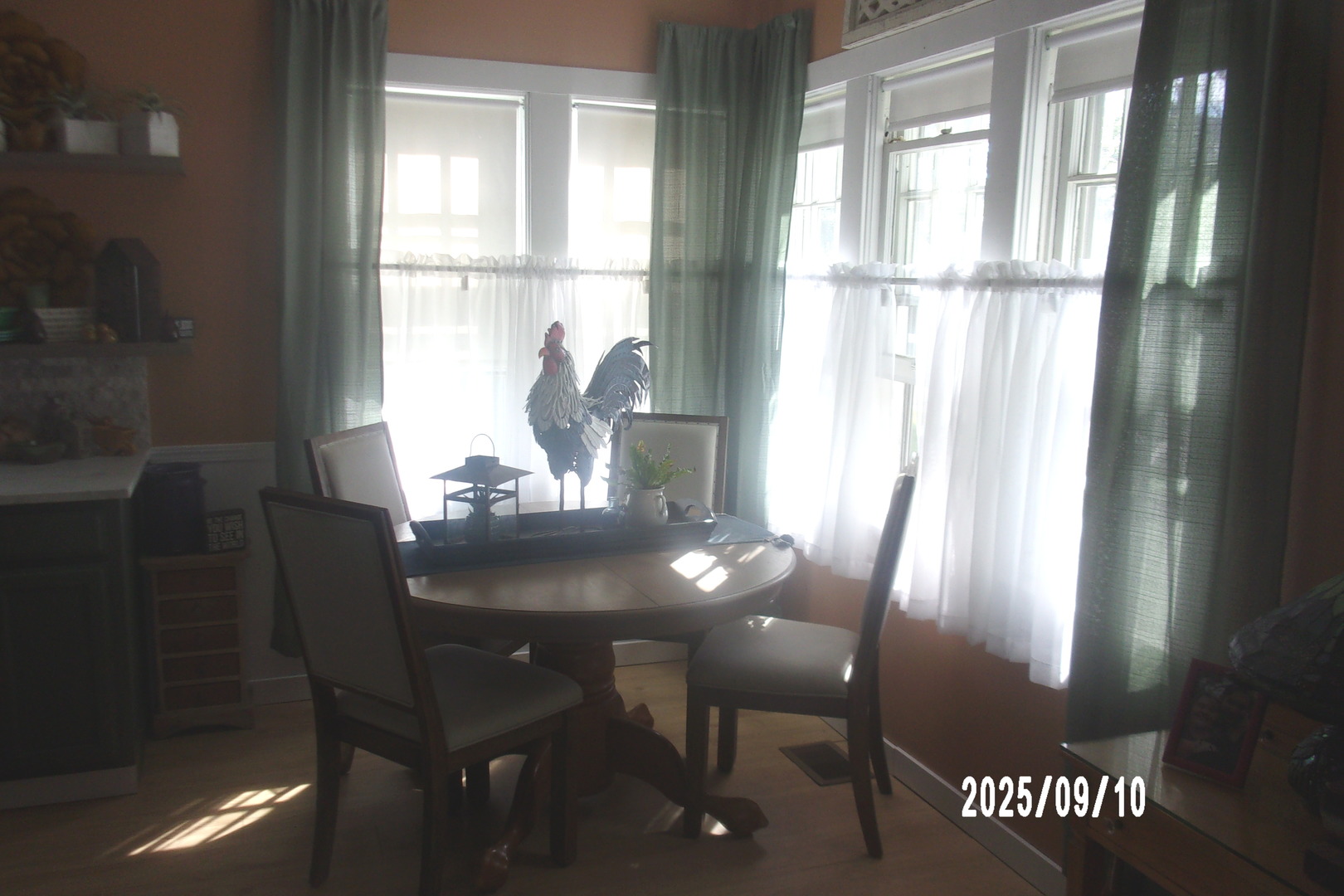325 South Race Street Piper City, IL 60959 - Photo 10 of 25 a dining room with furniture and window