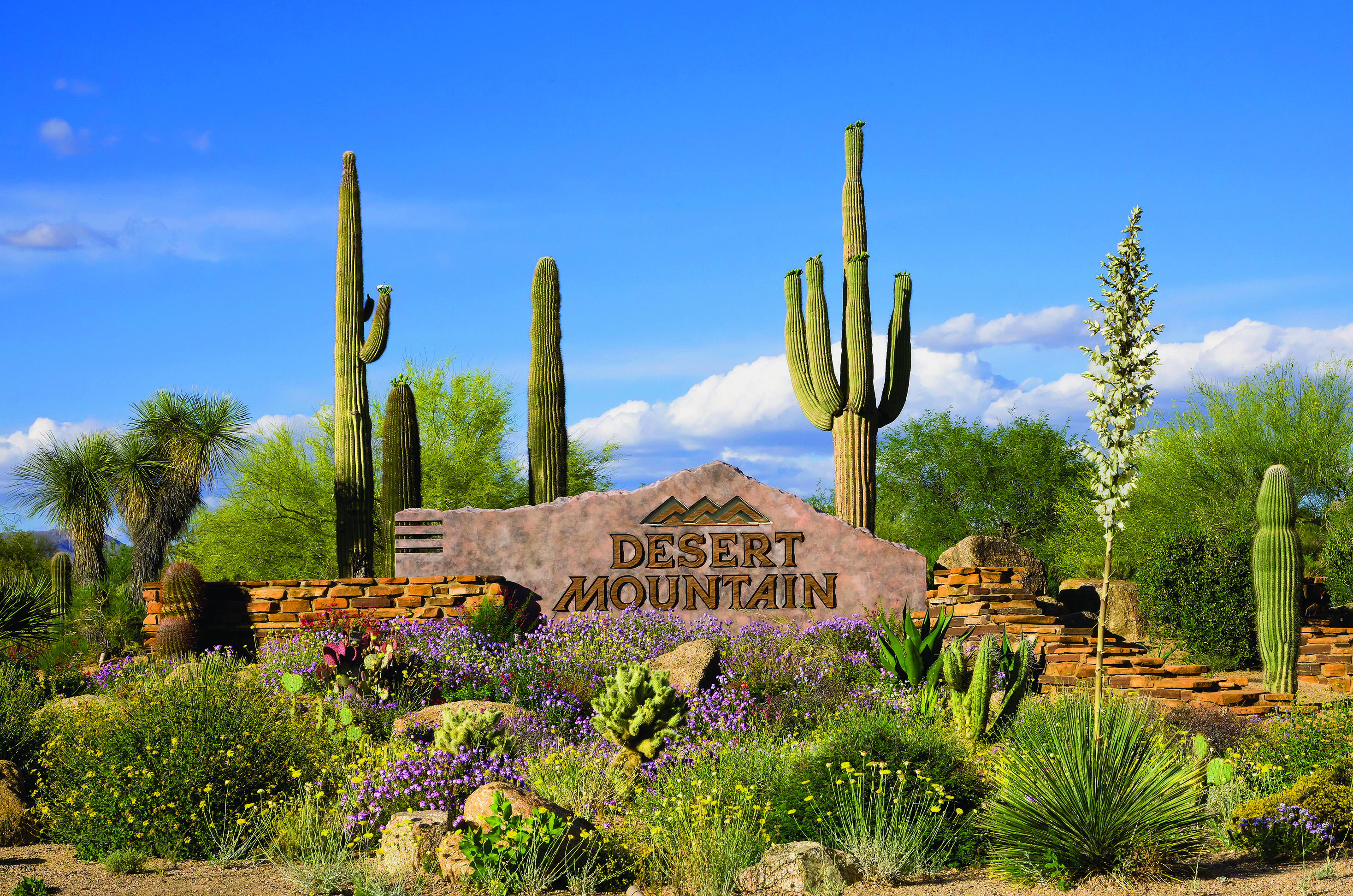 9828 East Hidden Valley Road Scottsdale, AZ 85262 - Photo 23 of 31 DM ENTRANCE SIGN