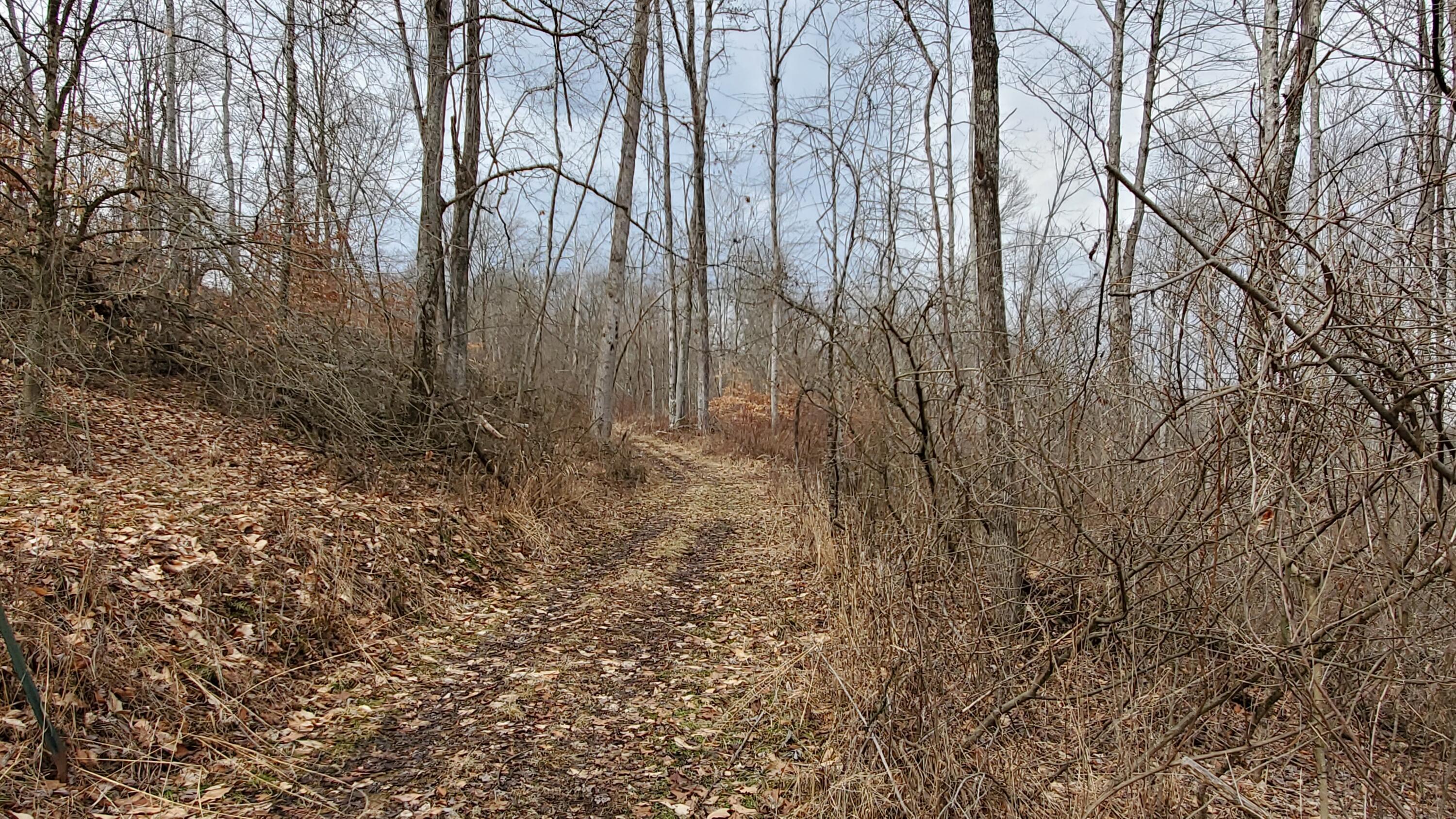 6870 Crane Run Road Cumberland, OH 43732 - Photo 32 of 49 20250226_125216