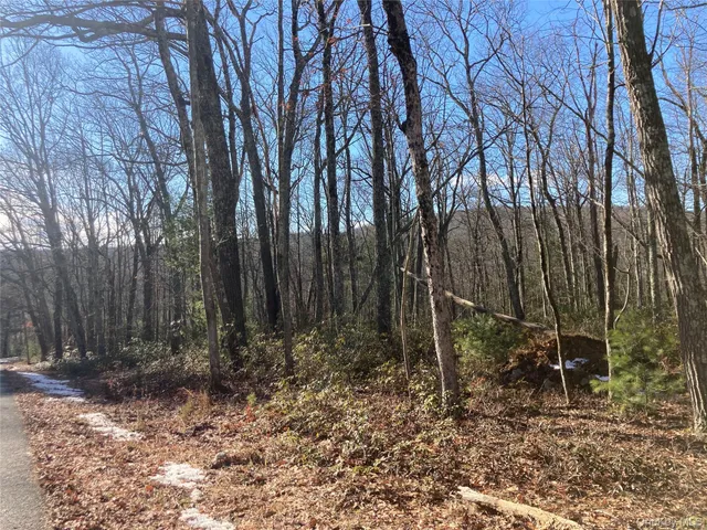 a view of backyard with green space