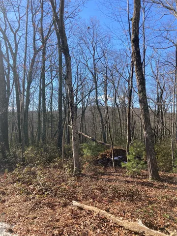 a backyard of a house with outdoor seating