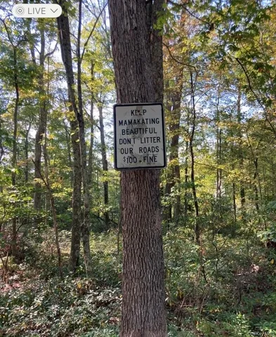 a sign broad in a forest