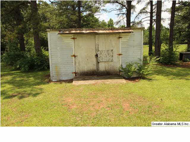 671 Black Snake Road Munford, AL 36268 - Photo 17 of 17