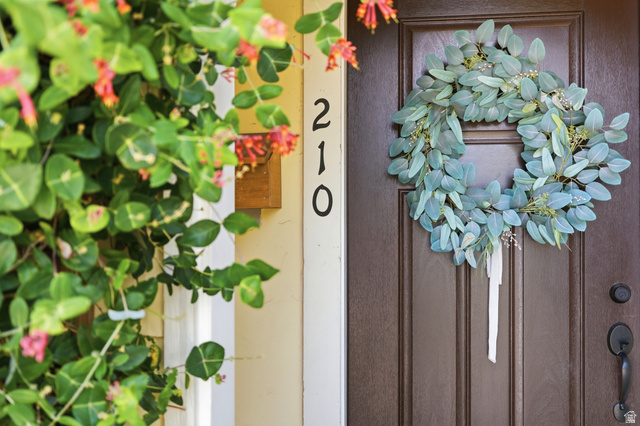 210 North 200 West Logan, UT 84321 - Photo 23 of 31 Dark brown paneled entry door with black hardware, flanked by cream-colored siding and lush green foliage with red blossoms