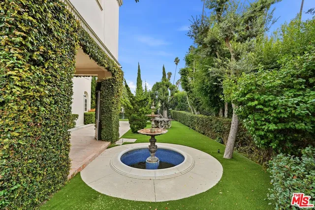 a view of a yard with plants