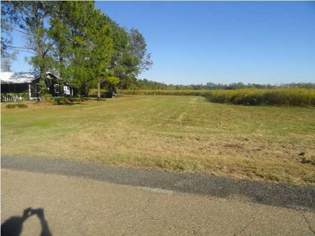 3 George Dupuis Road Breaux Bridge, LA 70517 - Photo 4 of 4 Additional Photo