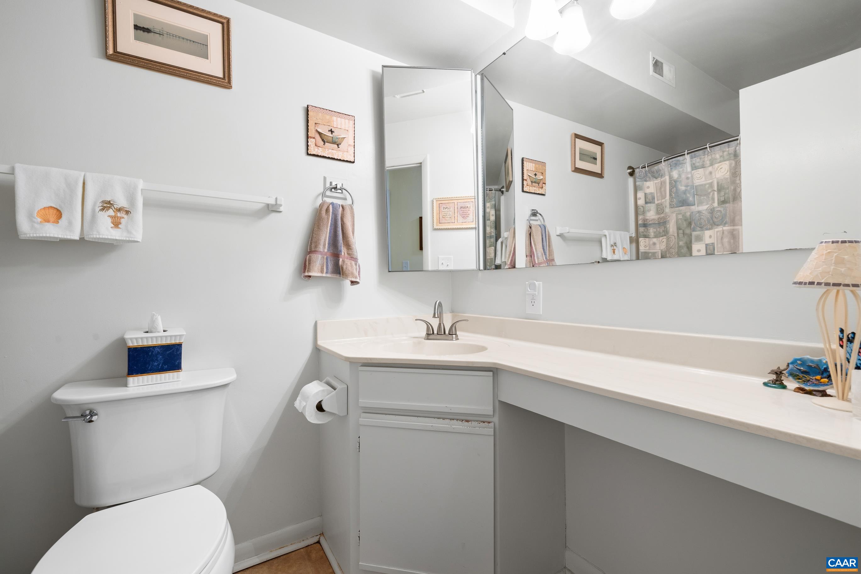 103 Turtle Creek Road, Unit 1 Charlottesville, VA 22901 - Photo 18 of 24 a bathroom with a sink a toilet and a mirror